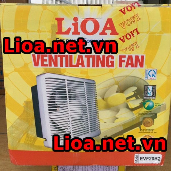 gia-quat-hut-mui-lioa gia-quat-hut-mui-lioa